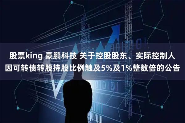 股票king 豪鹏科技 关于控股股东、实际控制人因可转债转股持股比例触及5%及1%整数倍的公告