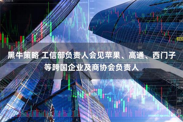 黑牛策略 工信部负责人会见苹果、高通、西门子等跨国企业及商协会负责人